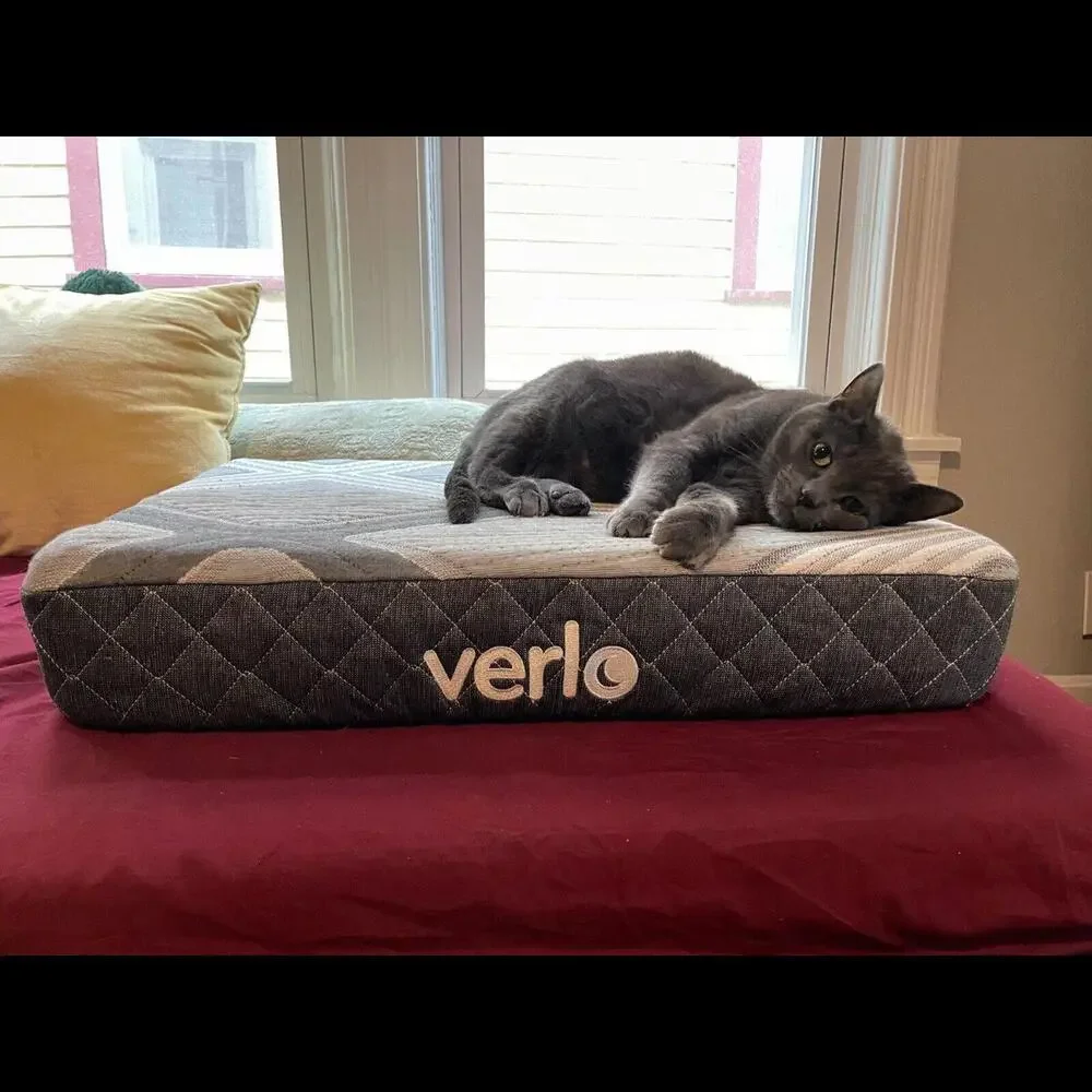 Verlo Mattress for Pets Size Small V5 Pet Dog/Cat Bed
